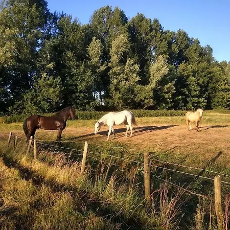 Ferienhaus One-bedroom Waterakkers