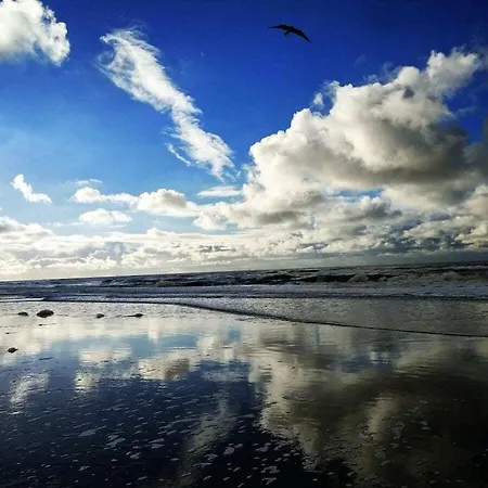 One-bedroom Ferienhaus Waterakkers