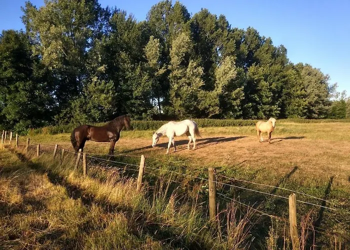 Vakantiehuis One-bedroom Heemskerk