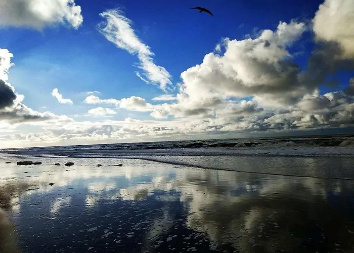 One-bedroom Vakantiehuis Heemskerk